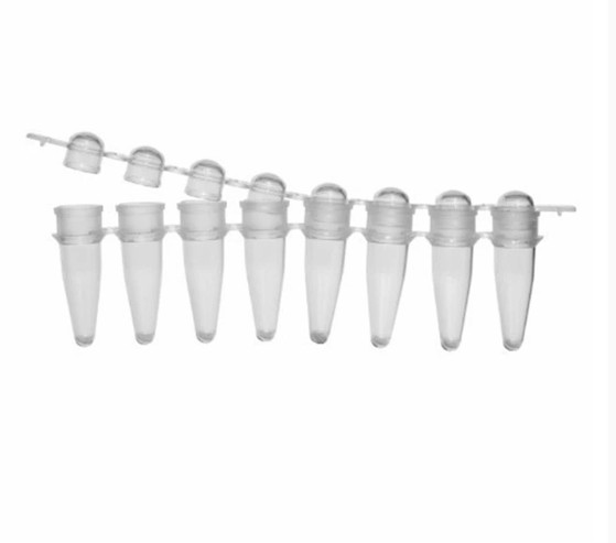 96-Well PCR Plate — Non-Skirted